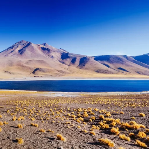 Atacama