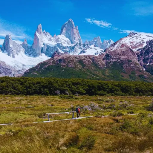 Patagonia (1)